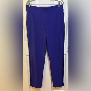 Athleta Winter Activewear Pants